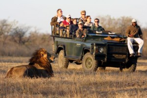 kruger-wildlife-park-300x200 An African Safari and the Exotic African Wildlife