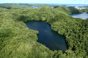 Jellyfish_Lake_aerial_March_2008-300x200 A Marine Adventure at Jellyfish Lake