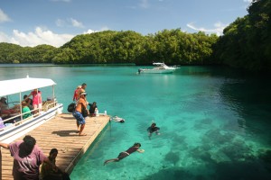 Palau_Jelly_Fish_Lake-300x200 A Marine Adventure at Jellyfish Lake