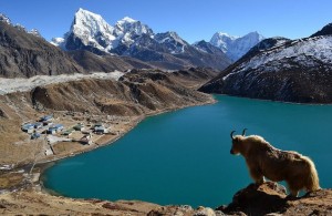 Shigatse-valley-300x195 Mount Everest - Setting Your Sights on The Tallest Mountain