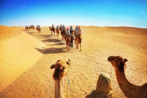 luxury-desert-experience-camel-safari-with-dinner-and-emirati-in-dubai-154755-300x200 Dubai - Explore the world with a Trip to Dubai