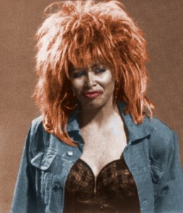 tina-turner-258x300 Holly Faris - Impersonator & Comedienne for the Ages