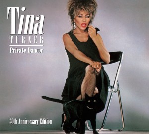 11201012_984746241545816_6895171615726025212_o-300x270 A Superstar for the Ages - The Amazing Tina Turner