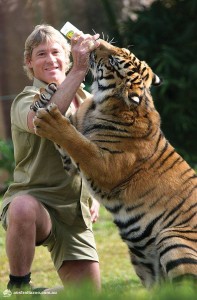 10685776_10152830108437432_6783190328451983826_n-197x300 A Life Well Lived - The Extraordinary World of Steve Irwin