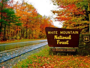 white-mountain-sign-300x225 Autumn in New England - A Harvest Sojourn