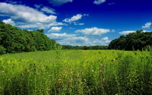 Columbia-Wildlife-Management-Area-300x188 New Jersey's Recreational Abundance