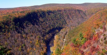 Pine Creek Gorge, PA