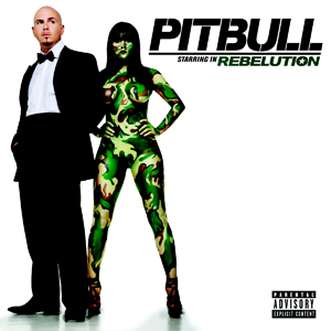 Rebelution 5 Reasons Why Pitbull Really is Mr. Worldwide