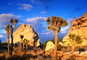 Welcome-to-Joshua-Tree-National-Park-300x208 8 Amazing Places for Rock Climbing