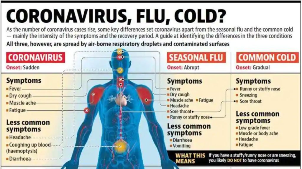 difference-between-covid-19_common-cold_and_flu-1024x573 COVID-19: Everything you need to know about it